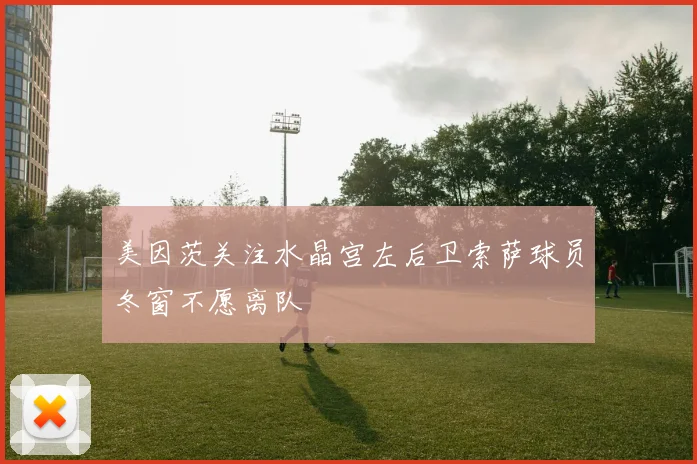 美因茨关注水晶宫左后卫索萨球员冬窗不愿离队