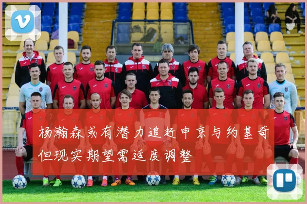 杨瀚森或有潜力追赶申京与约基奇但现实期望需适度调整