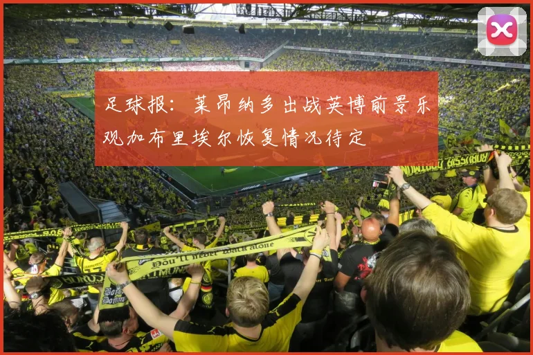 足球报：莱昂纳多出战英博前景乐观加布里埃尔恢复情况待定