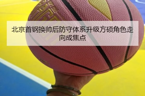 北京首钢换帅后防守体系升级方硕角色走向成焦点（Leyu）